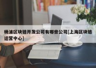 杨浦区块链开发公司有哪些公司[上海区块链运营中心]