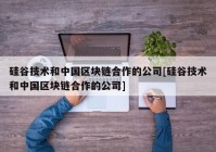 硅谷技术和中国区块链合作的公司[硅谷技术和中国区块链合作的公司]